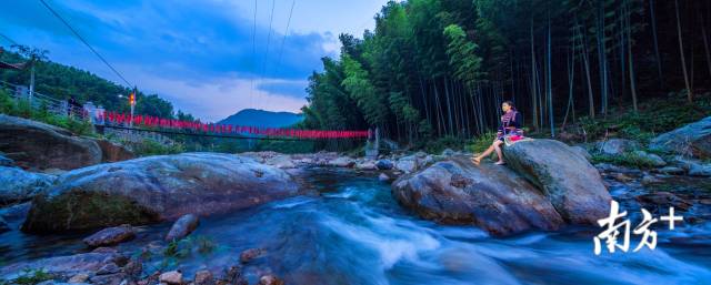 新八竹海。