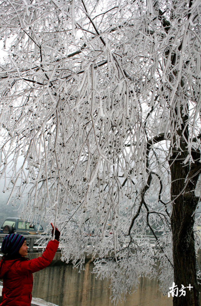 今冬的首場寒潮將于12月29日下午襲擊連州，最冷零下5度，提醒群眾做好御寒準(zhǔn)備。黃津 攝