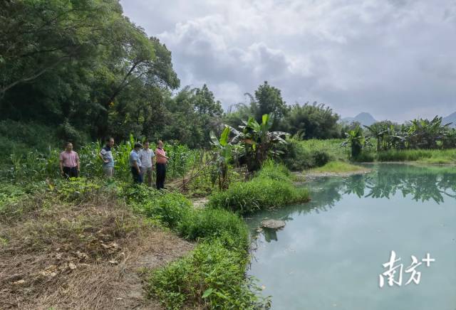 實地調(diào)研。