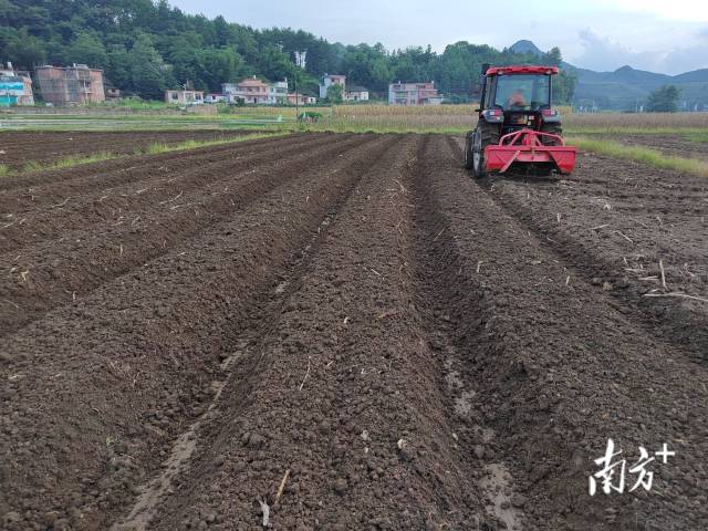 東方紅農(nóng)耕機正在試運作。