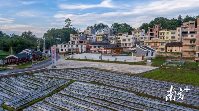 四聯(lián)鄉(xiāng)村振興綜合示范片。