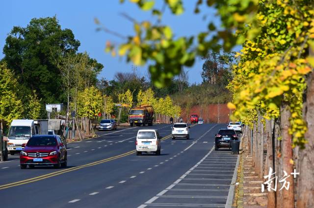 連州近5年累計(jì)投入20億元優(yōu)化升級(jí)交通設(shè)施。黃津 攝