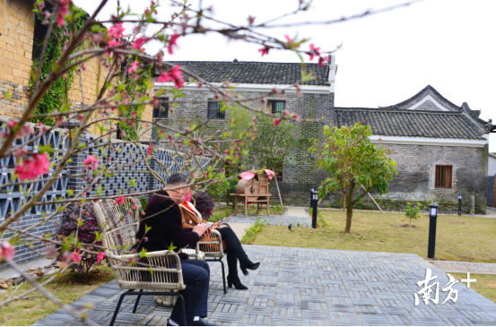 鄉(xiāng)村民宿。黃津 攝