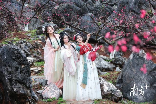 國(guó)風(fēng)少女打卡連州桃花季。