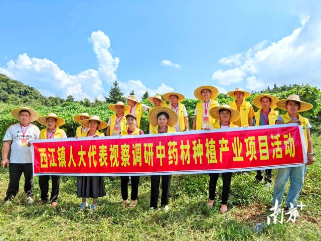 代表們實地調(diào)研，為產(chǎn)業(yè)振興培育新動能。 西江鎮(zhèn) 供圖