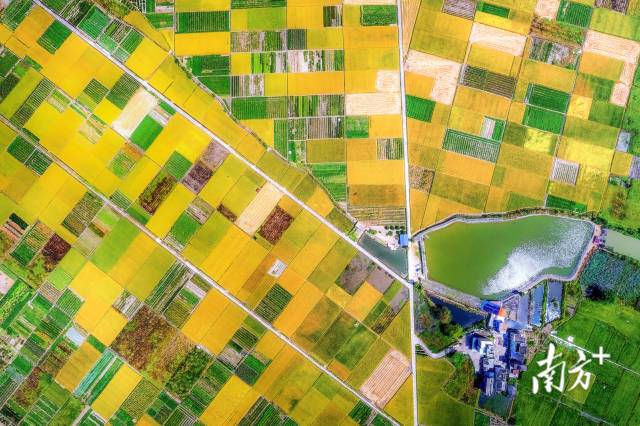 保安鎮(zhèn)立足資源優(yōu)勢擦亮“富硒小鎮(zhèn)”名片。黃月明 攝