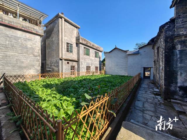 整潔美觀的西江鎮(zhèn)外塘村。西江鎮(zhèn) 供圖